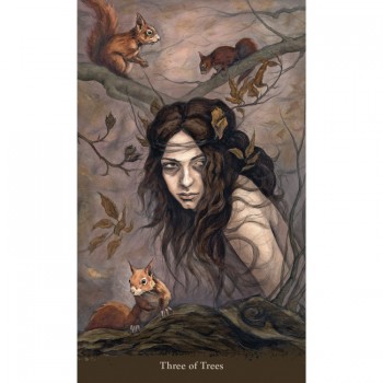 Kosmetinis defektas Witch Sister Taro kortos Llewellyn